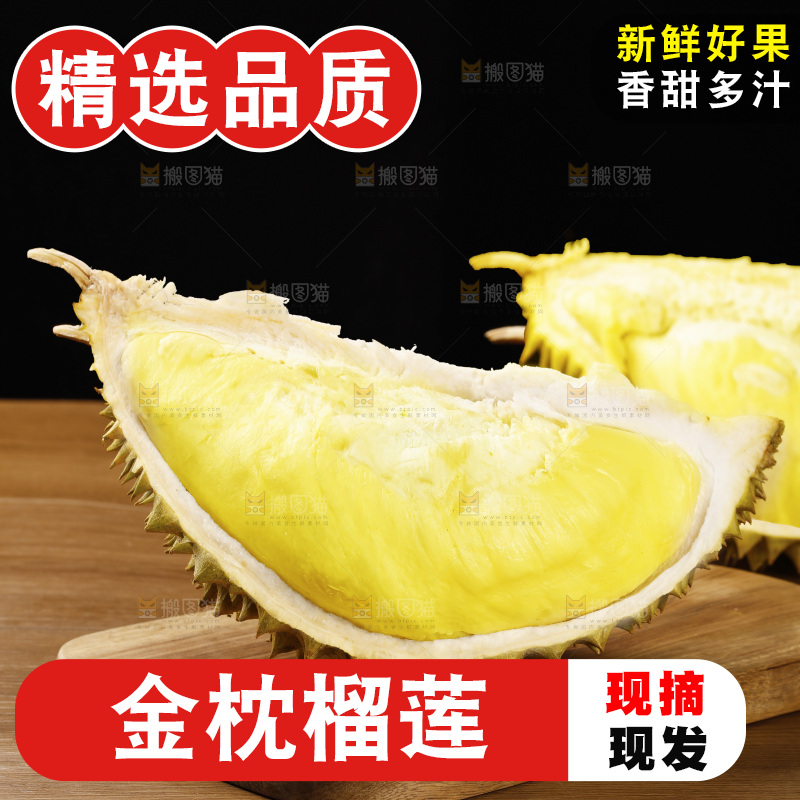 深底上的金枕榴莲