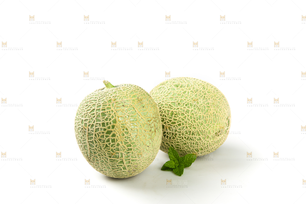 白底上的网纹蜜瓜