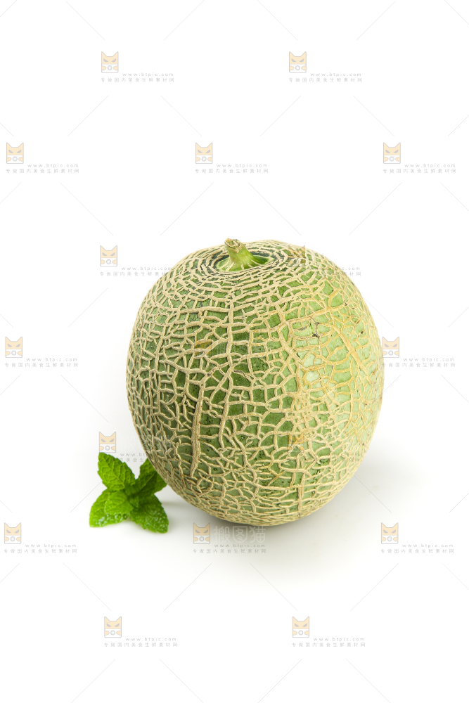 白底上的网纹蜜瓜