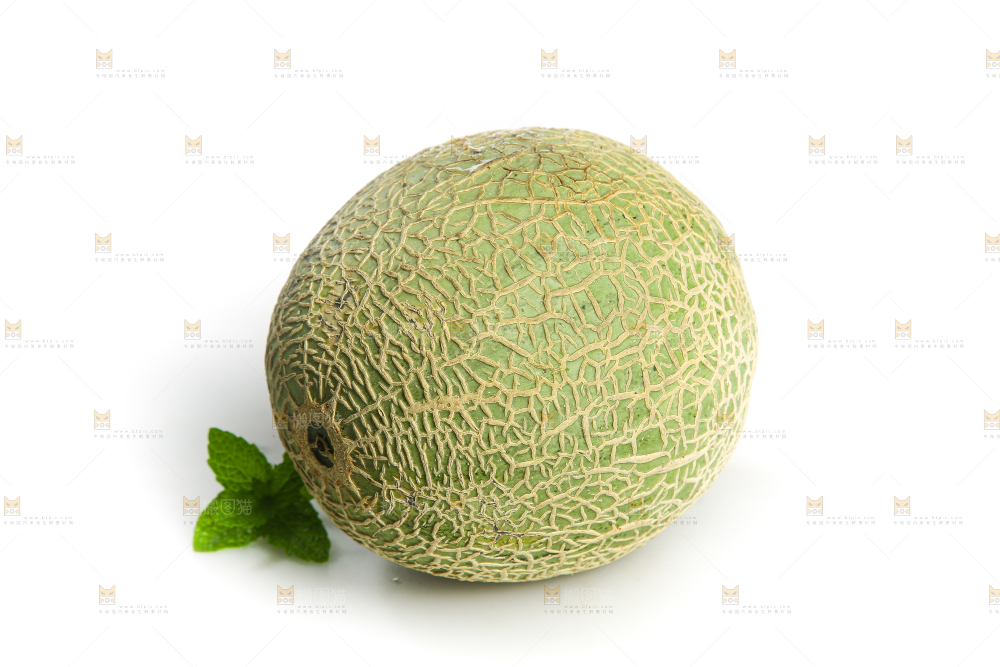 白底上的网纹蜜瓜