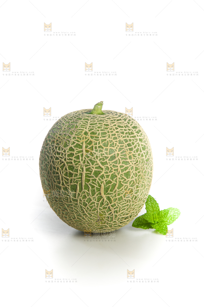 白底上的网纹蜜瓜