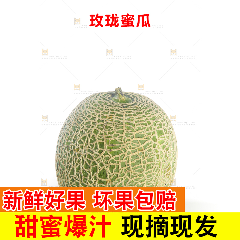 白底上的网纹蜜瓜