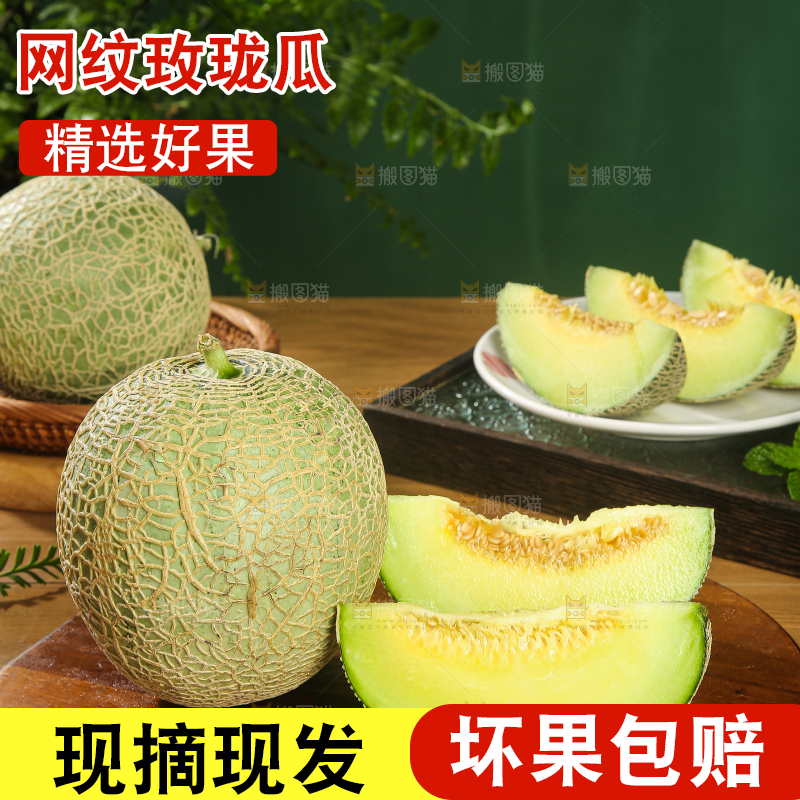深底上的网纹蜜瓜