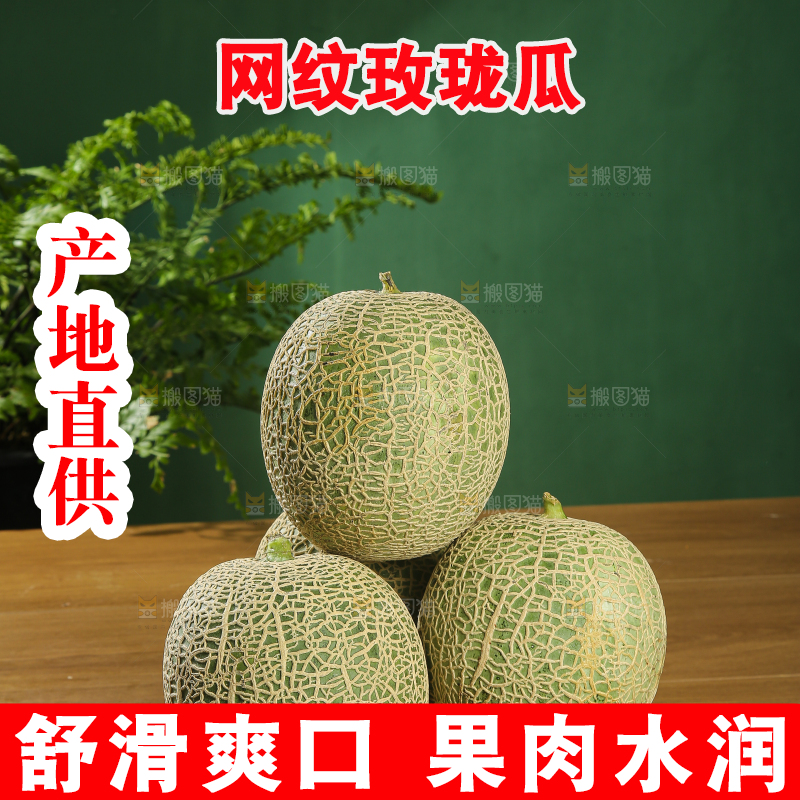 深底上的网纹蜜瓜