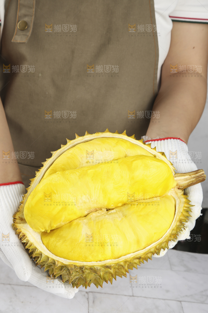 浅底上的金枕榴莲