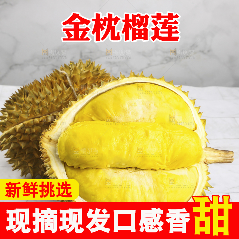 浅底上的金枕榴莲