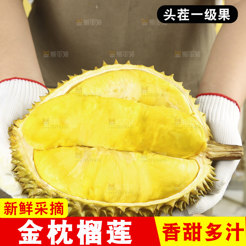 浅底上的金枕榴莲