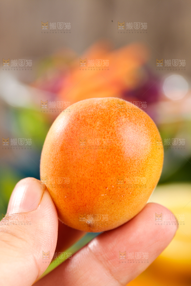 深底上的小红杏