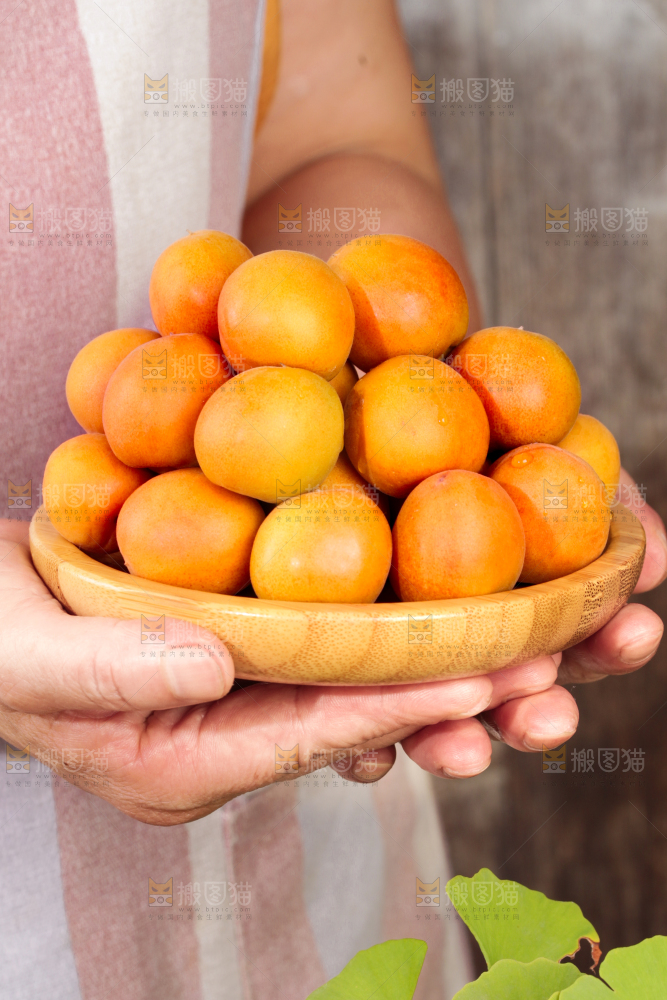 深底上的小红杏
