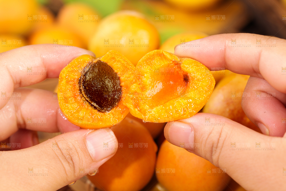 深底上的小红杏