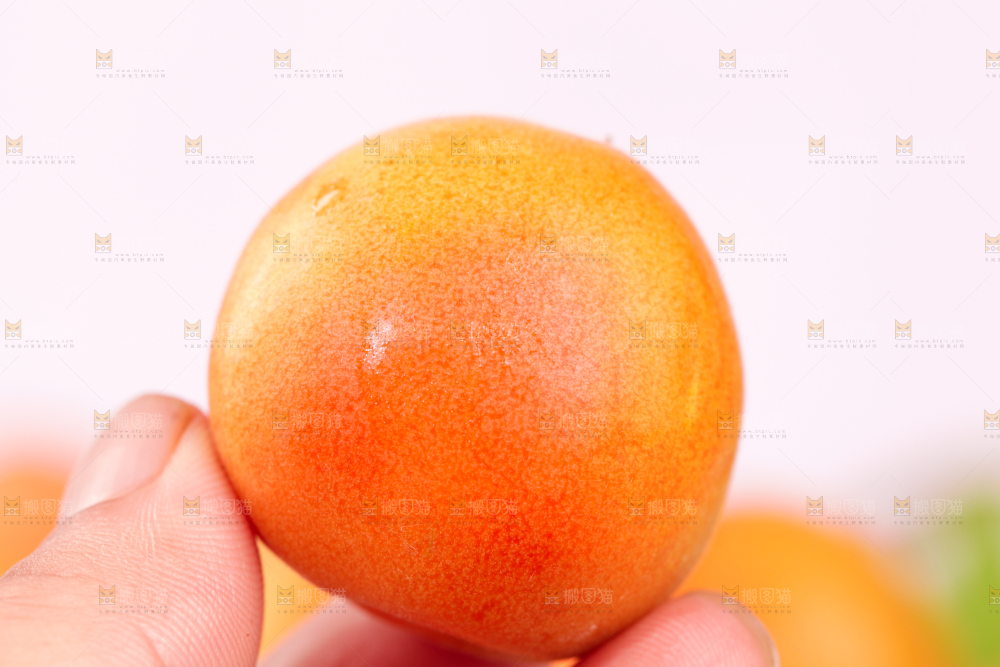 浅底上的小红杏