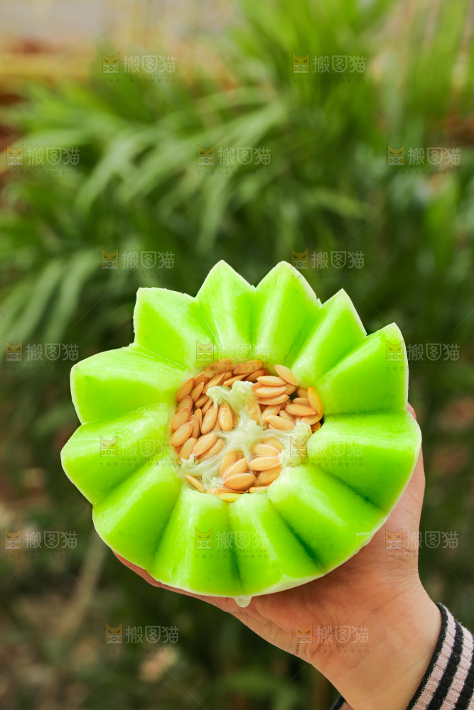 手里拿着玉菇甜瓜