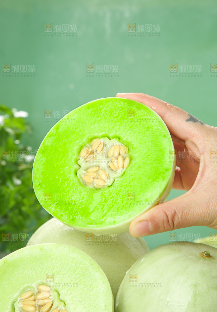 浅底上的玉菇甜瓜