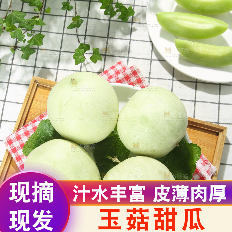 浅底上的玉菇甜瓜