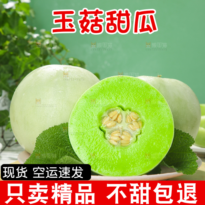 浅底上的玉菇甜瓜