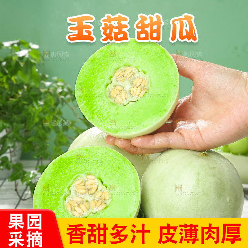 浅底上的玉菇甜瓜