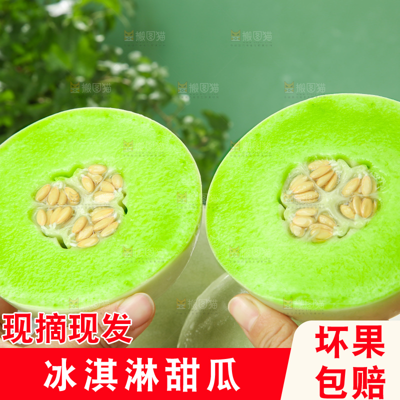 浅底上的玉菇甜瓜