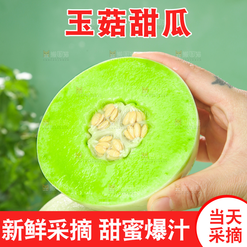 浅底上的玉菇甜瓜
