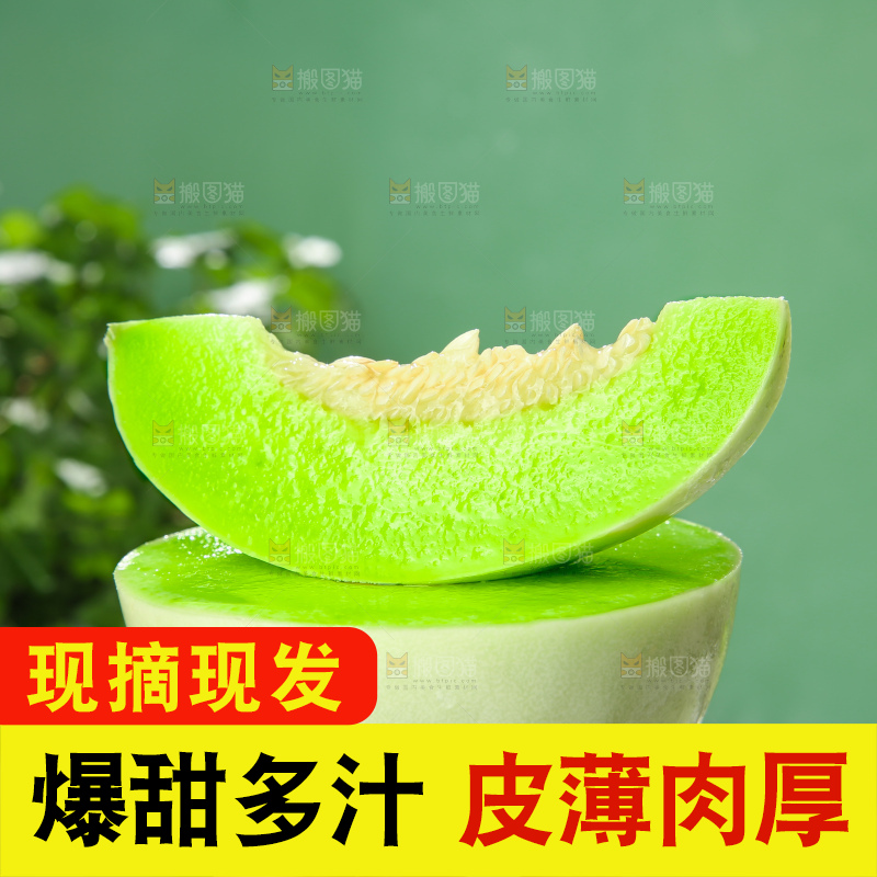 浅底上的玉菇甜瓜