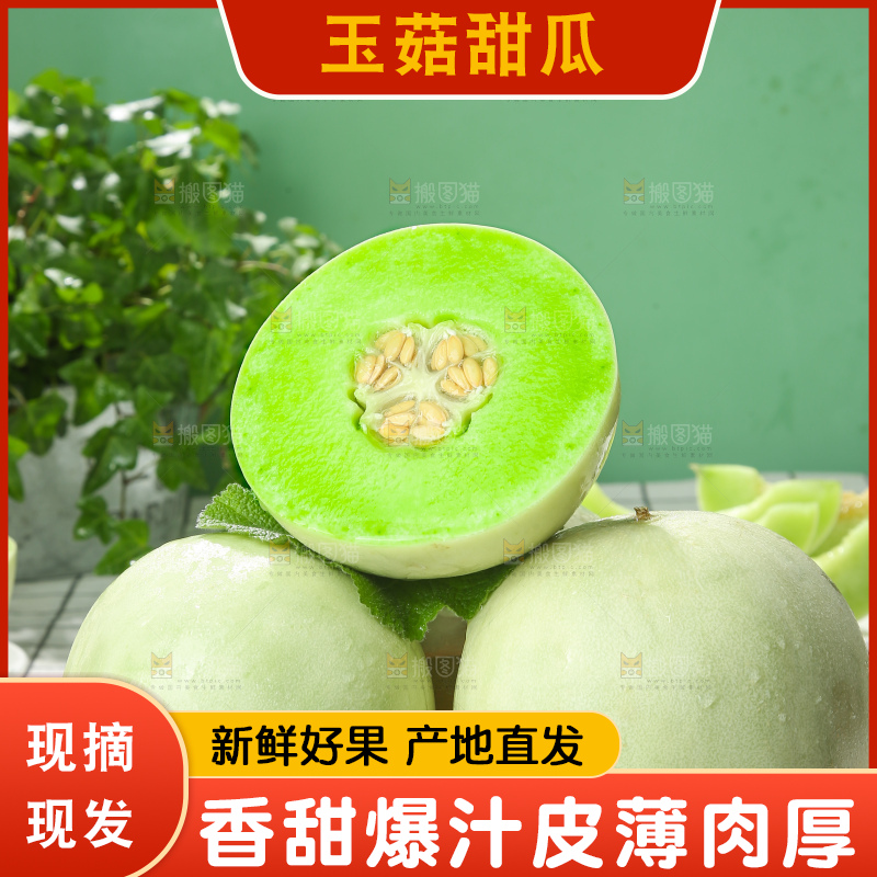 浅底上的玉菇甜瓜