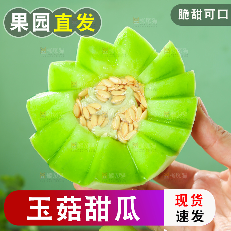 浅底上的玉菇甜瓜
