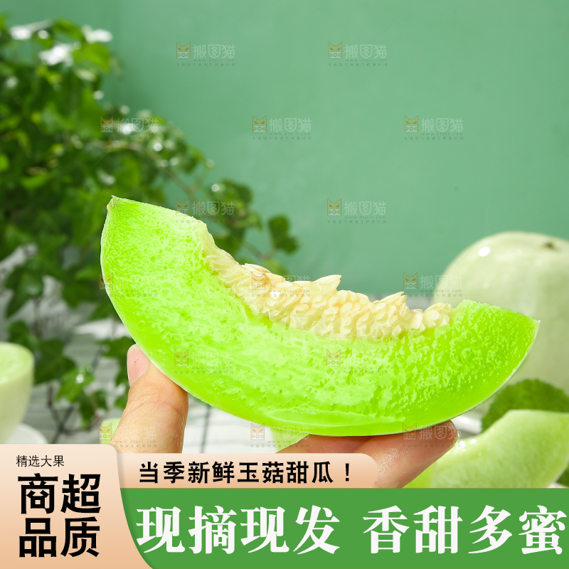 浅底上的玉菇甜瓜