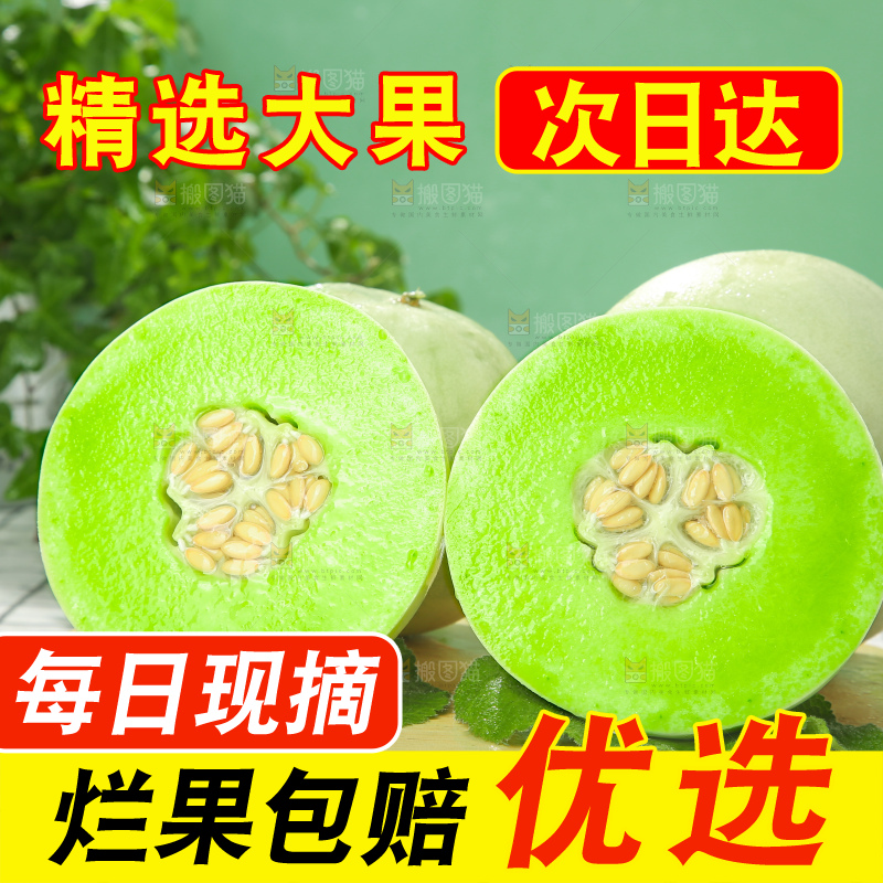 浅底上的玉菇甜瓜