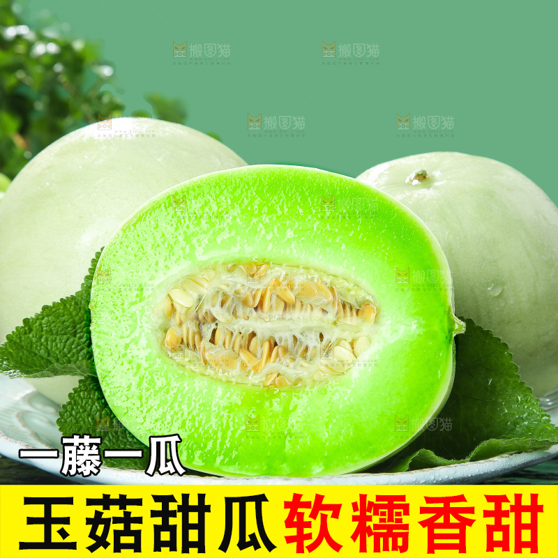深底上的玉菇甜瓜