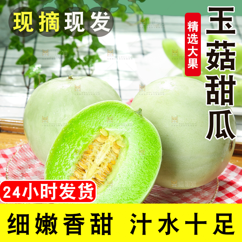 浅底上的玉菇甜瓜