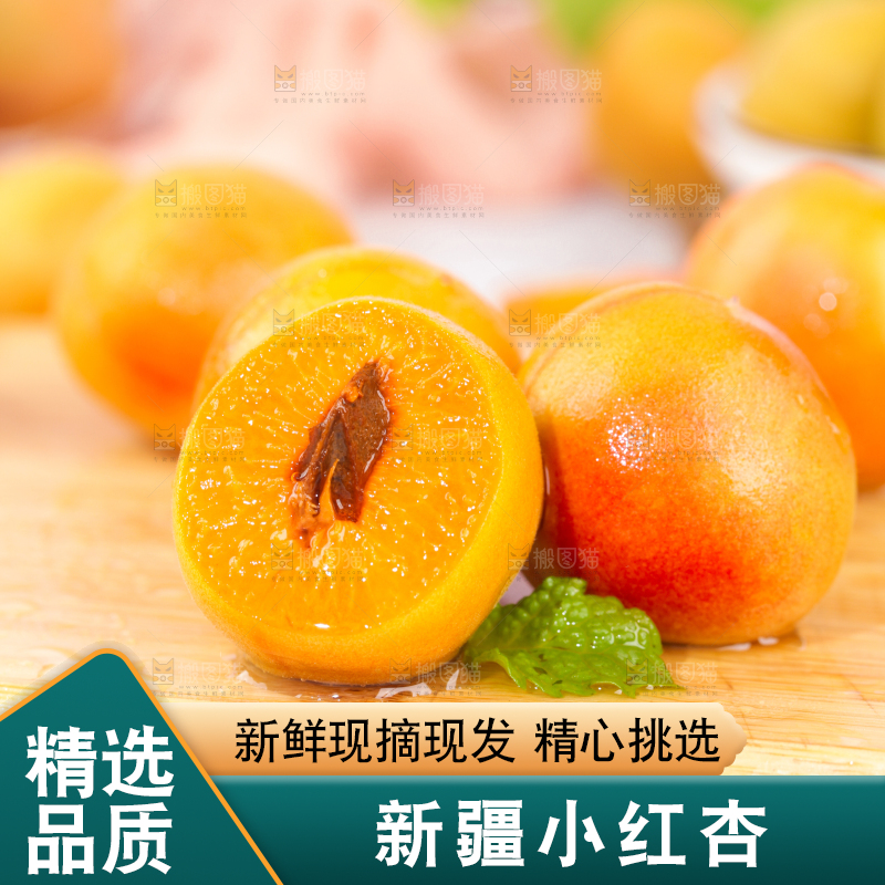 浅底上的小红杏