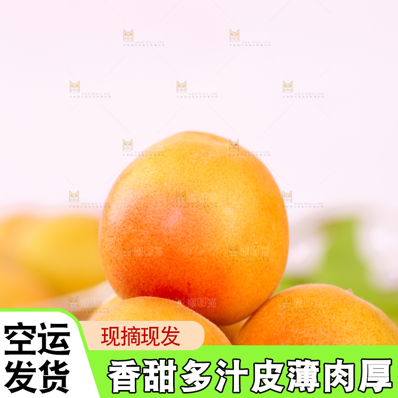 浅底上的小红杏