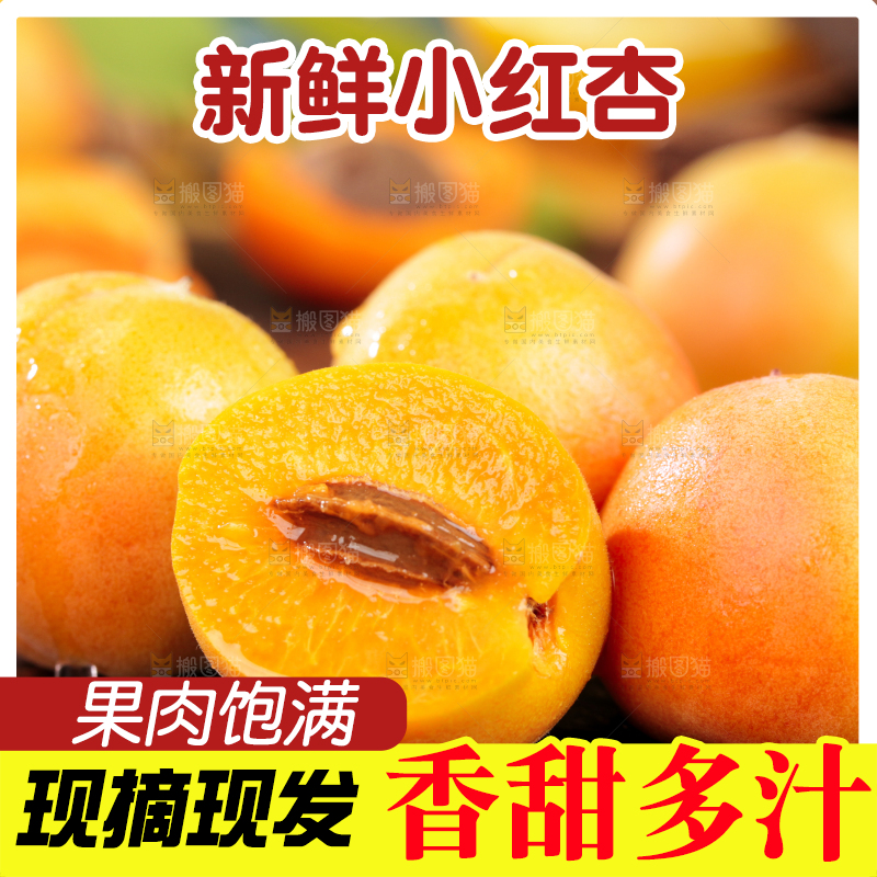 深底上的小红杏