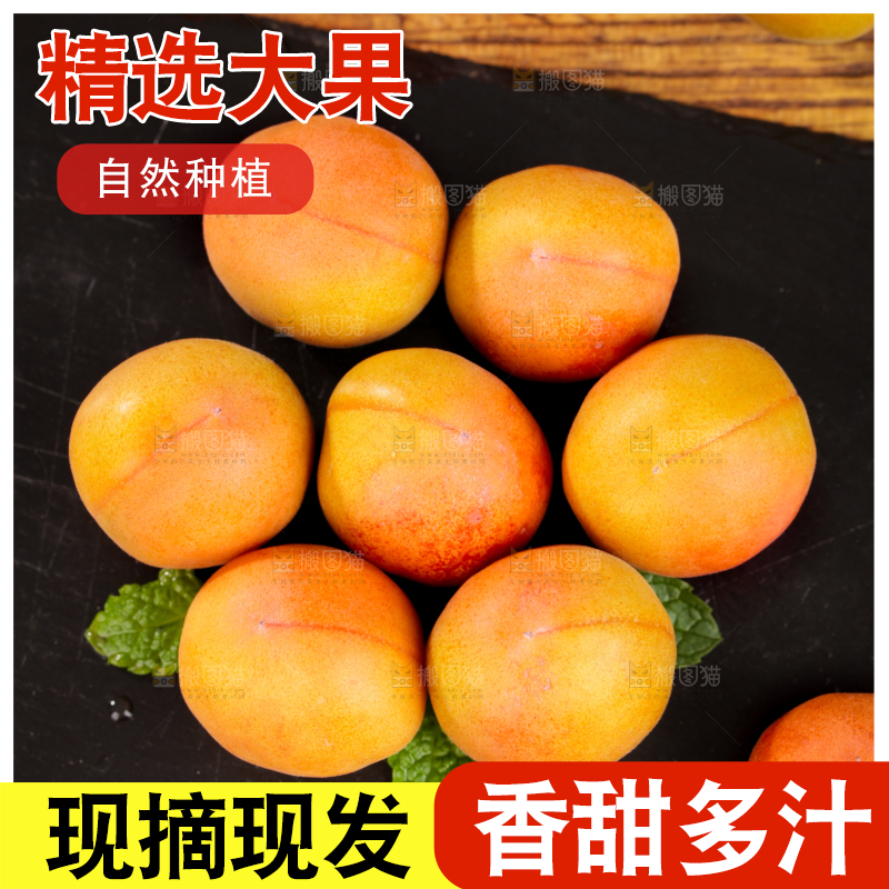 深底上的小红杏