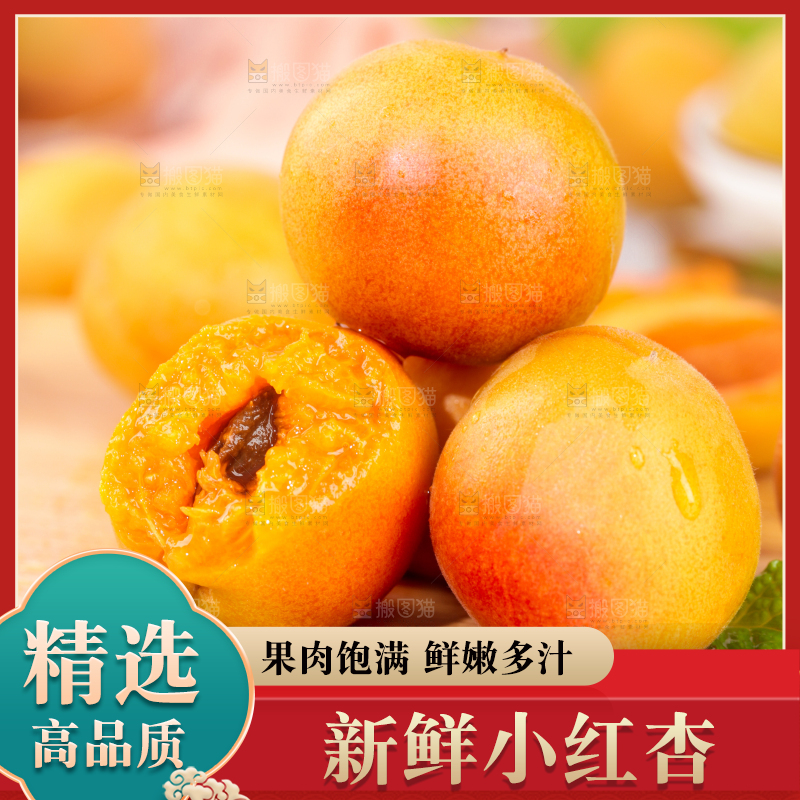 浅底上的小红杏