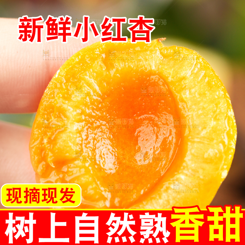 深底上的小红杏