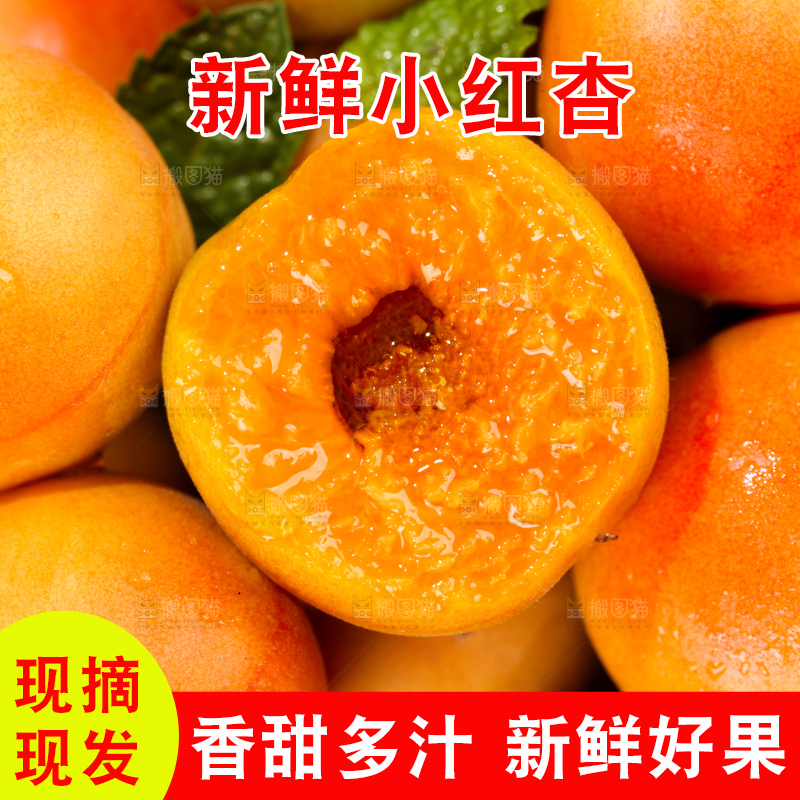 深底上的小红杏