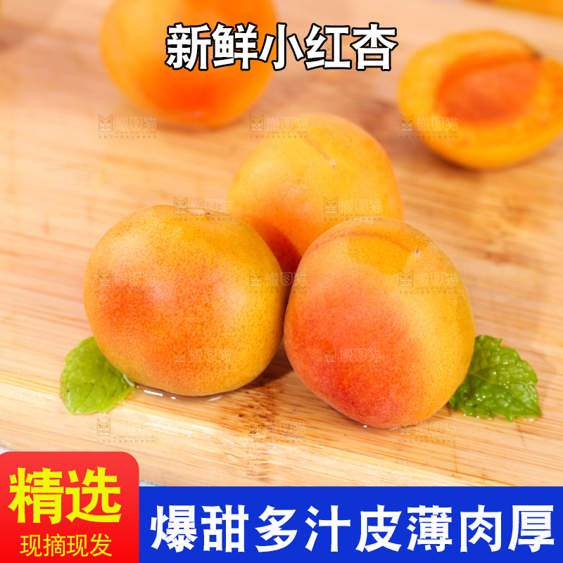 浅底上的小红杏