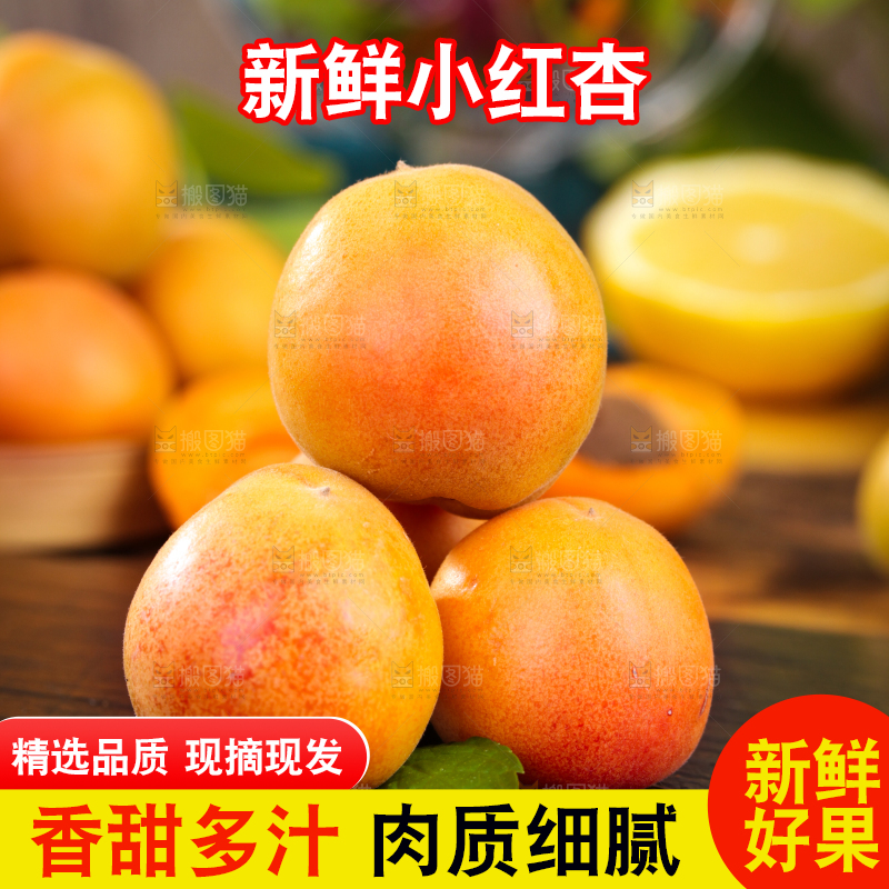 深底上的小红杏