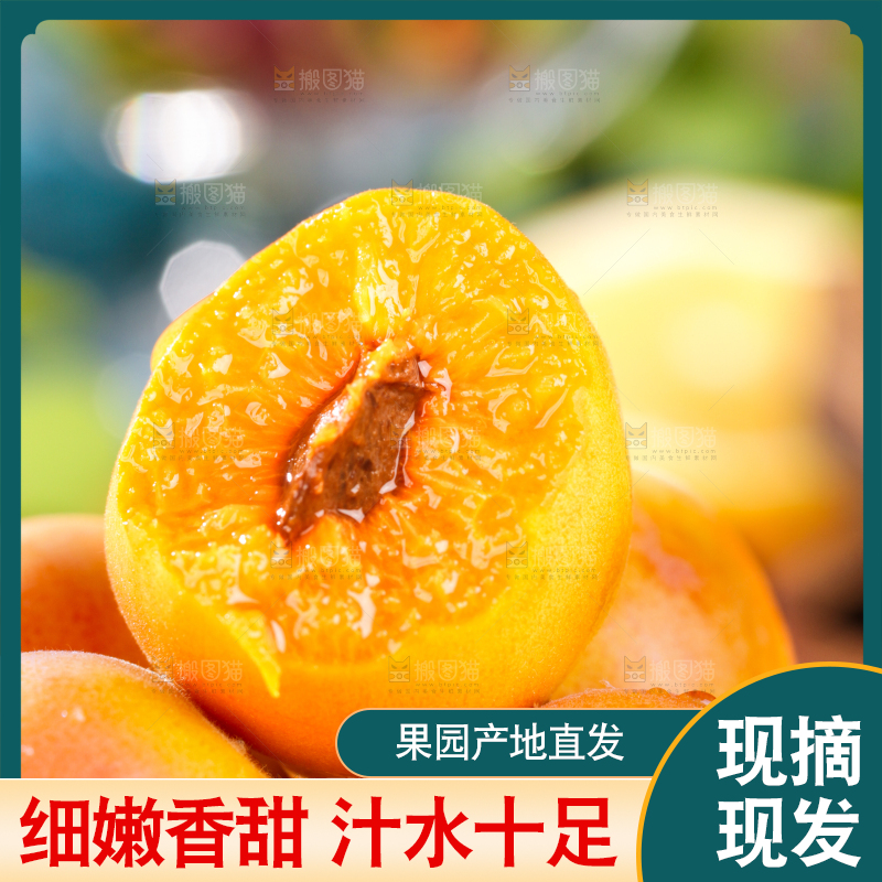 深底上的小红杏