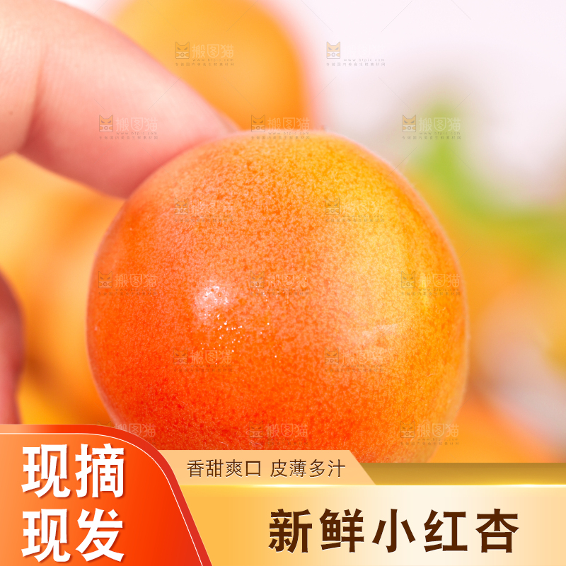 浅底上的小红杏