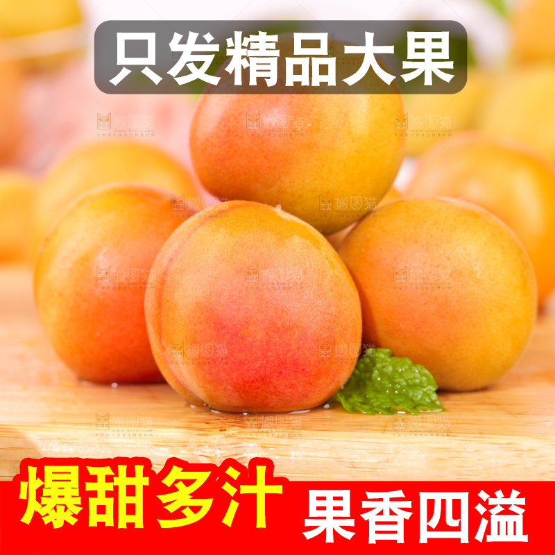 浅底上的小红杏