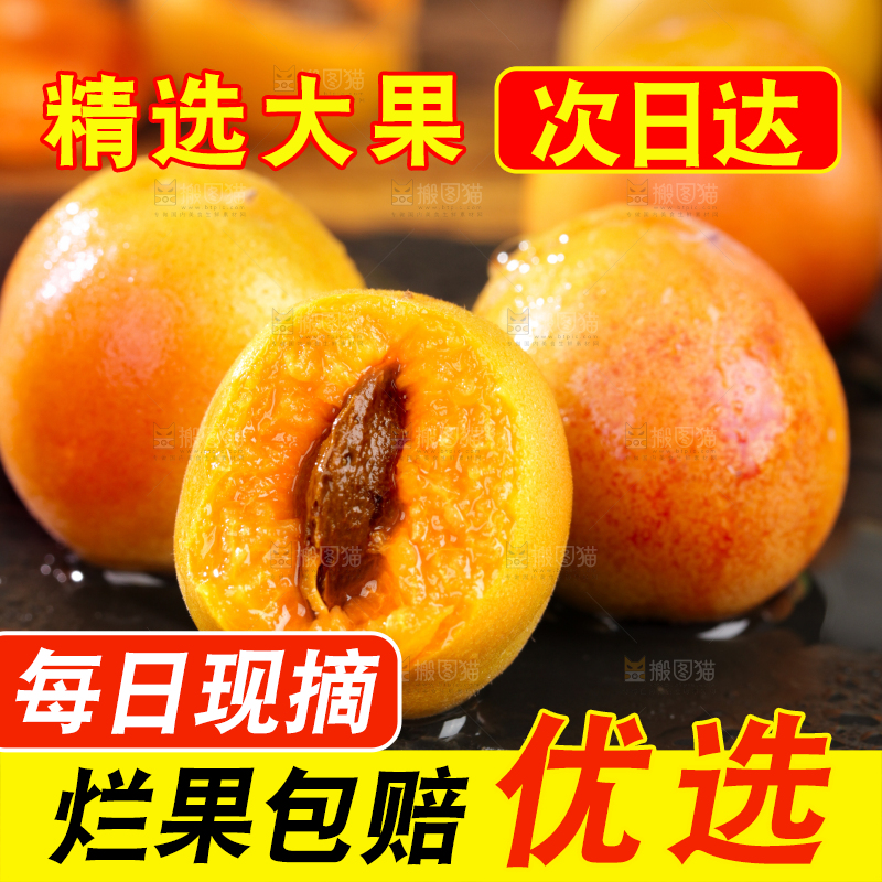深底上的小红杏