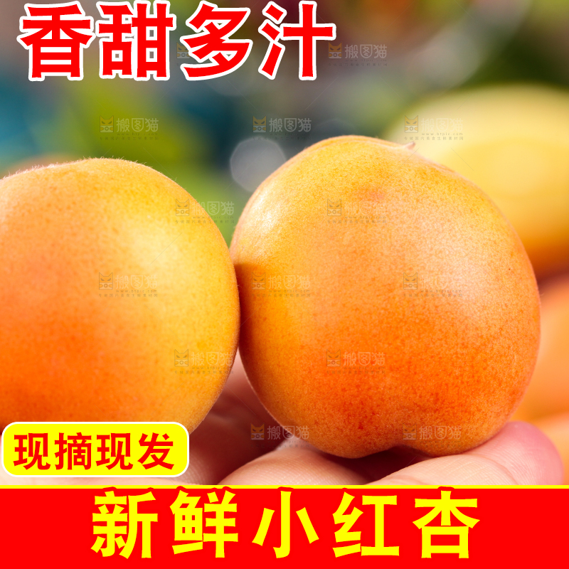 深底上的小红杏