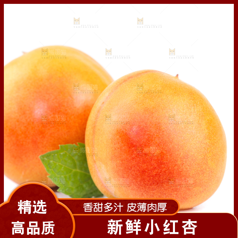 白底上的小红杏