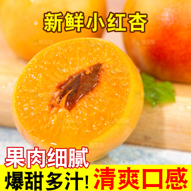 浅底上的小红杏