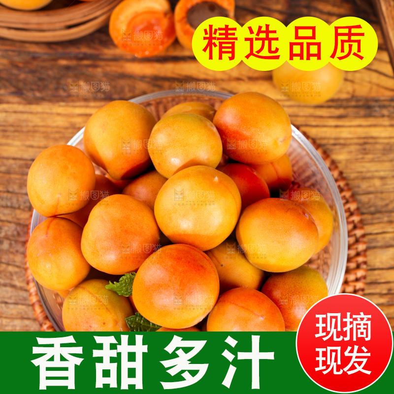 深底上的小红杏