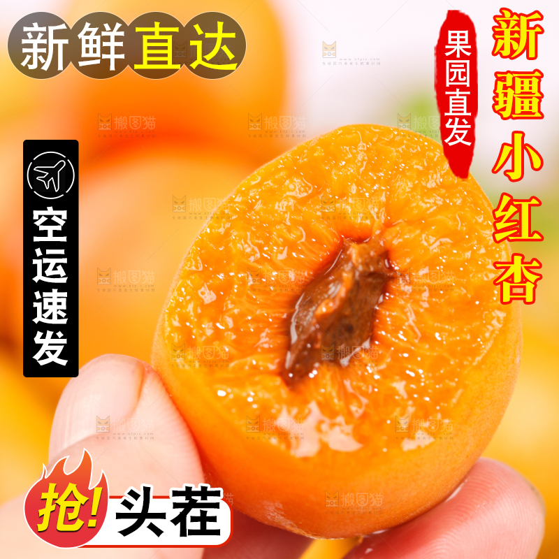 浅底上的小红杏