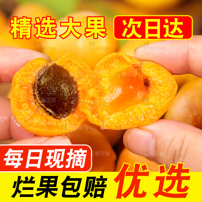 深底上的小红杏