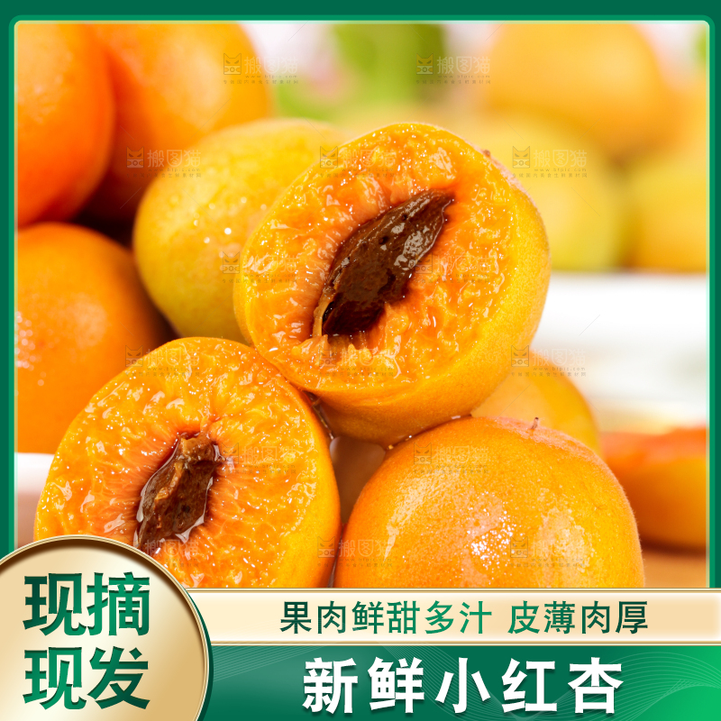 浅底上的小红杏