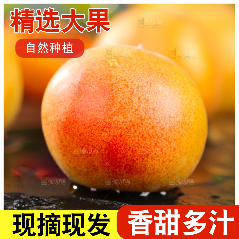深底上的小红杏